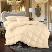 Comforter - 100% Egyptian Cotton 800 Thread-Count 400 GSM Fiber Fill Duvet Insert Comforter, 3-Piece (1pc Comforter & 2pc Pillow Shams) - Full/Queen Size (90" x