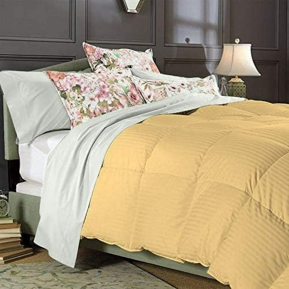 Comforter - 100% Egyptian Cotton 800 Thread-Count 400 GSM Fiber Fill Duvet Insert Comforter, 3-Piece (1pc Comforter & 2pc Pillow Shams) - Oversized Super King Size (120" x 98") Inch, Ivory Stripe