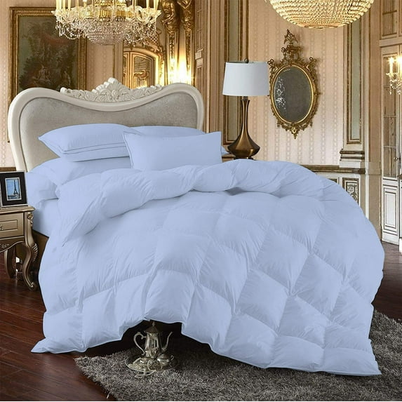 Comforter - 100% Egyptian Cotton 800 Thread-Count 400 GSM Fiber Fill Duvet Insert Comforter, 3-Piece (1pc Comforter & 2pc Pillow Shams) - Oversized Super King Size (120" x 98") Inch, Light Blue Solid