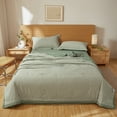 thumbnail image 1 of Comforter under $5! CQCYD Soybean Fiber Quilt, Thickened All Season Comforter 59x78 Inches, Warm Bedding for Winter, Lightweight Duvet Insert Queen Size, 1 of 9