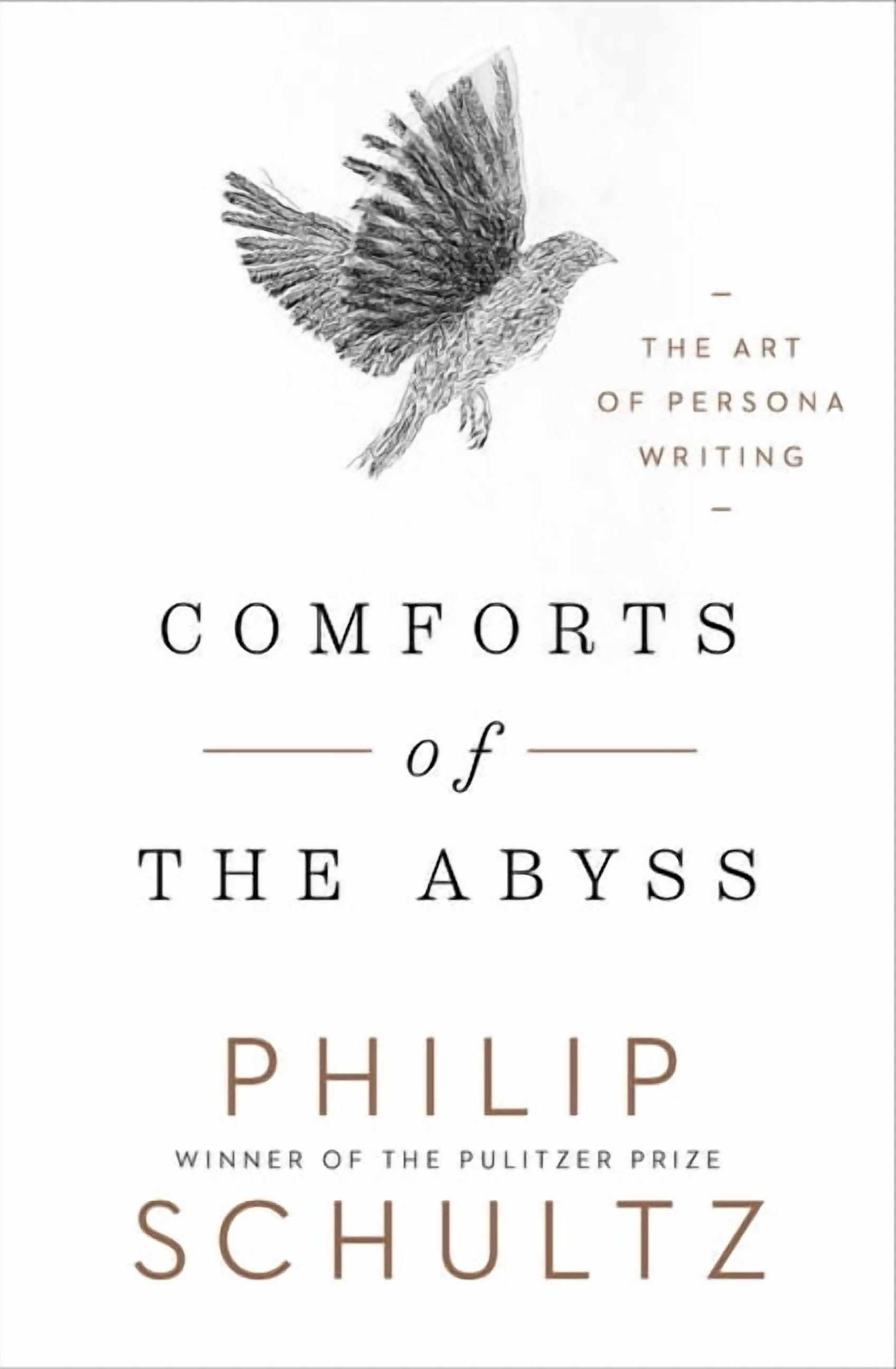 Comforts of the Abyss: The Art of Persona Writing, (Hardcover ...