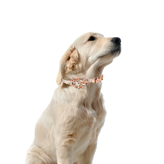 Comfy Flower Dog Collar,Detachable and Adjustable Flower Collar,for Small Medium Large Cat