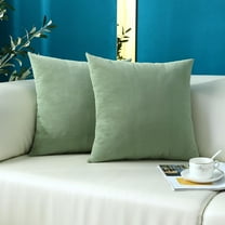 Comfy Light Green Throw Pillow Covers Decorative Square Super Soft Sage Cushion Couch Cases Decor, Set of 2