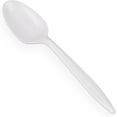 thumbnail image 1 of Pantry Value Clear Tea Spoon Plastic Silverware Heavy Duty Disposable Cutlery, 400-Pack, 1 of 5
