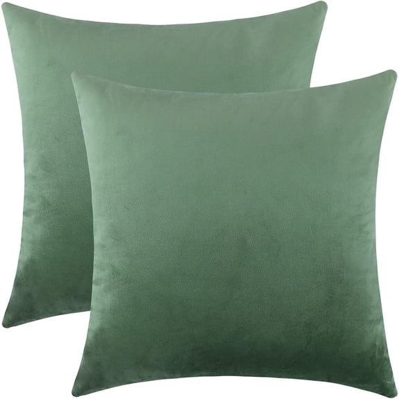 Comfy Sage Green Throw Pillow Covers Decorative Square Thick Super Soft Couch Cushion Cases for Bedroom Sofa Decor, Set of 2
