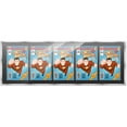 thumbnail image 1 of Comic Book Frame Wall Display with Mat for 5 Current Era Comics Published After 1985 - Silver Comic Frame for 6.875x10.5 Comics, 1 of 5