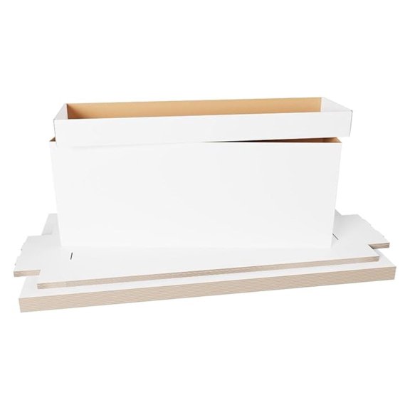 Comic Book Storage Box - 4 Count Long ComicBook Boxes with White Corrugated Cardboard - Stackable Bin, Thick Case, Book Containers with Lid - Ideal for Comics, Magazines,