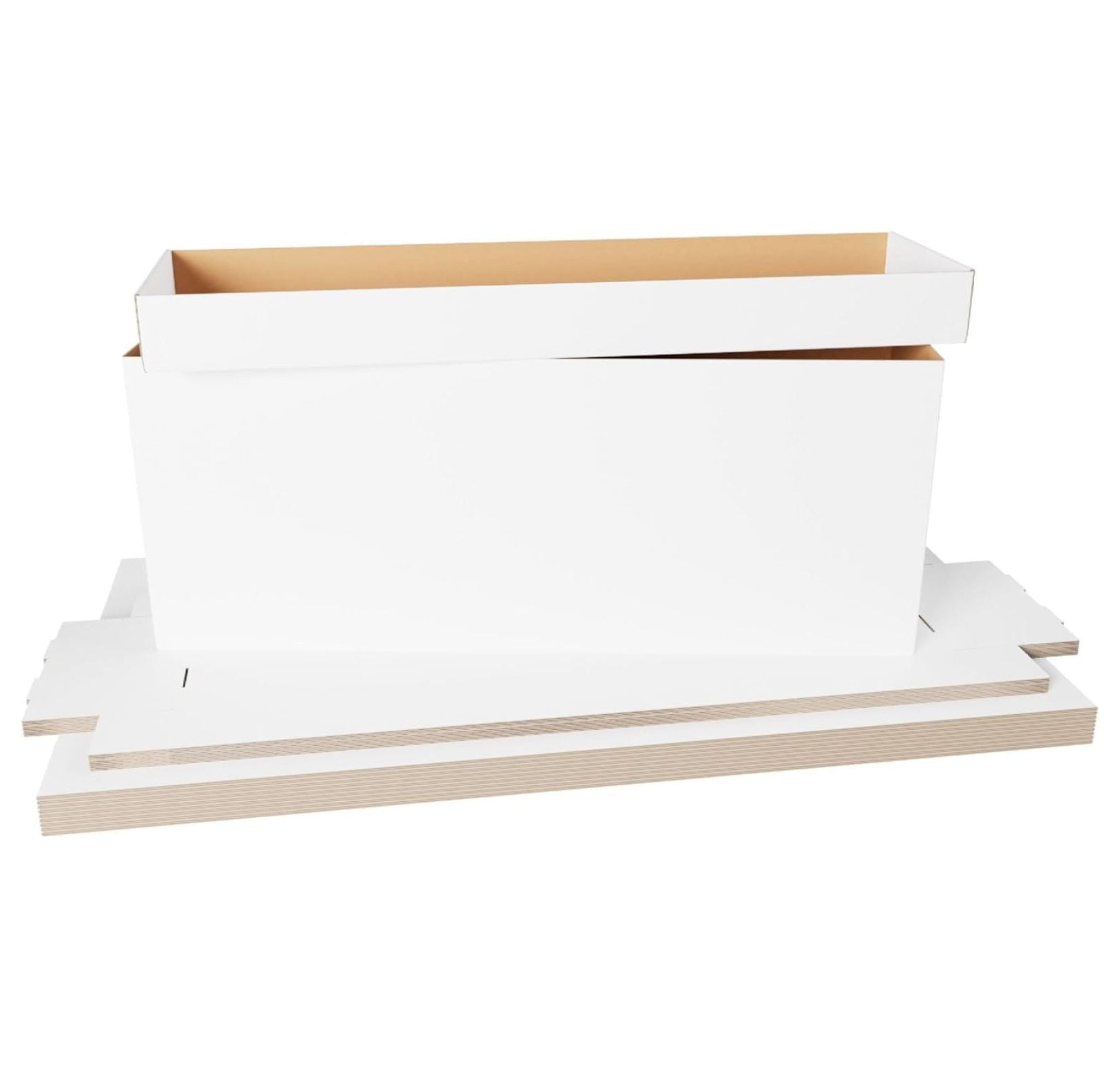 Comic Book Storage Box - 5 Count Long ComicBook Boxes with White ...