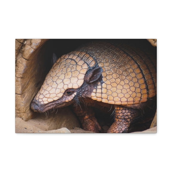 Coming Out Armadillo Portrait of Hairy Armadillo Wall Art Ready To Hang Unframed