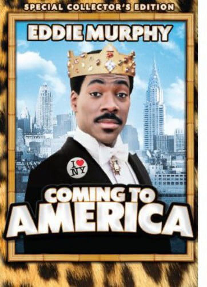 DVD アメリカ AMERICA coming 44f9869d-ed51-4b95-9ef9-