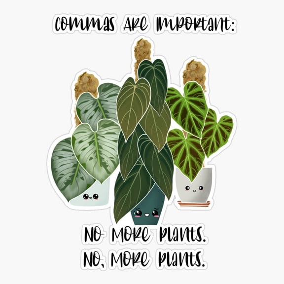 Commas Are Important Er, Phone Decal Water Bottle Stickers Car Decals, Funny Birthday Gift