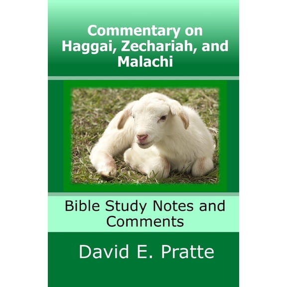 Commentary on Haggai, Zechariah, and Malachi: Bible Study Notes and Comments (Paperback)