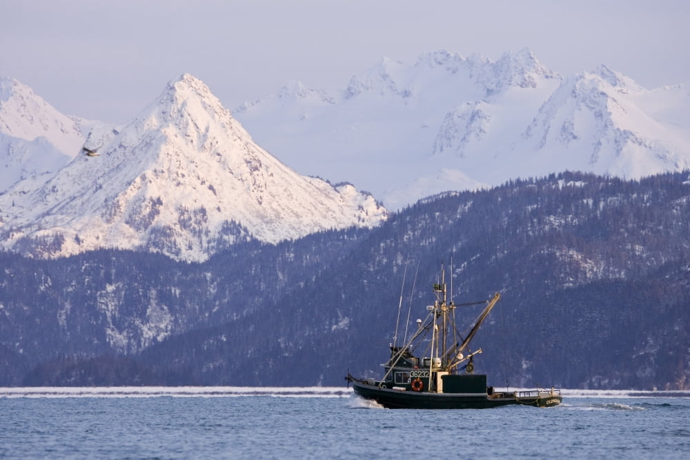 Commercial Fishing Boat In Kachemak Bay WSnow Covered Kenai Mtns Poots Peak Kenai Peninsula Alaska Winter Canvas Art - Scott Dickerson Design Pics (17 x 11)