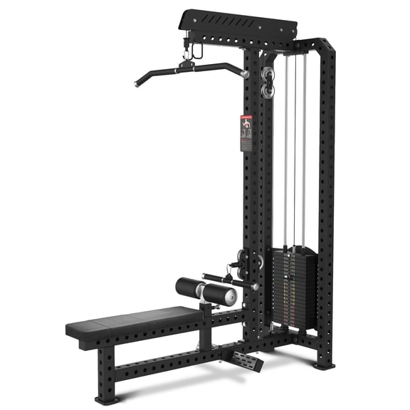 Commercial Lat Pulldown and Low Row Machine 2 in 1, Classic Lat Pulldown/Low Row Combo with 220LBS Weight Stack, Commercial Grade Home Gym Fitness Machine for back, shoulders, biceps Strength Trai