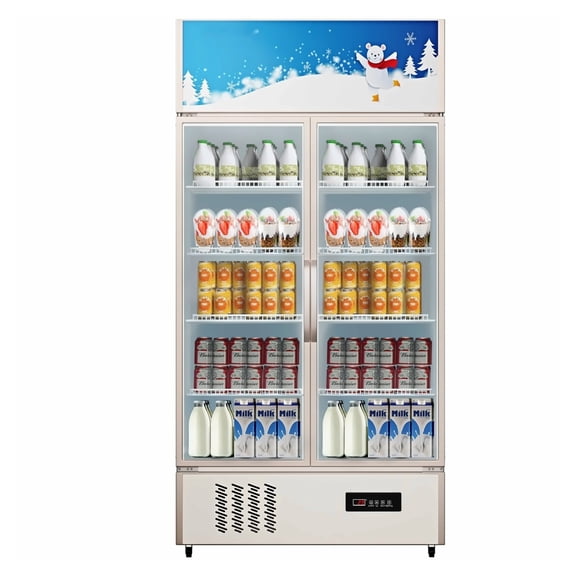 Commercial Refrigerator 23 cu.ft. Glass Door Display Fridge, Beverage Cooler for Store, Home, Office, Gym - LED Lit, Double Swing Door