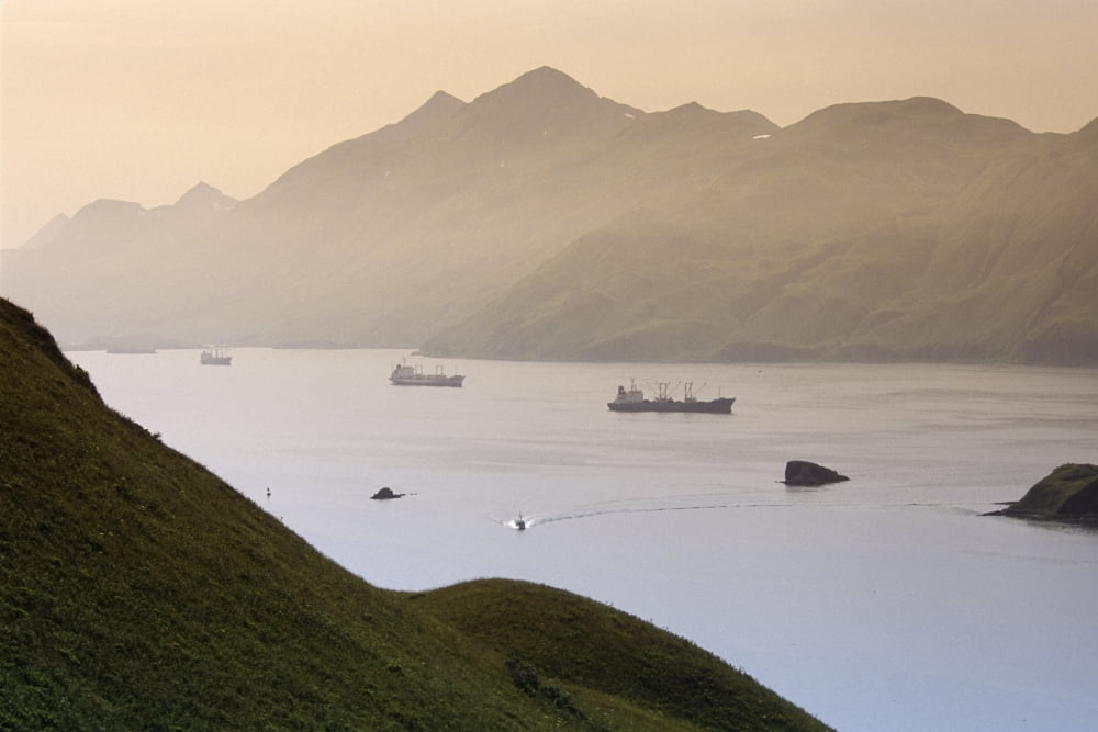 Commercial Ships Anchored In Captains Bay At Sunset Unalaska Alaska Summer Canvas Art - Daryl Pederson Design Pics (17 x 11)