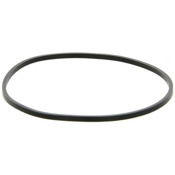 Commercial Water Distributing PENTEK-151254 Big Clear Housing Square-Cut O-Ring