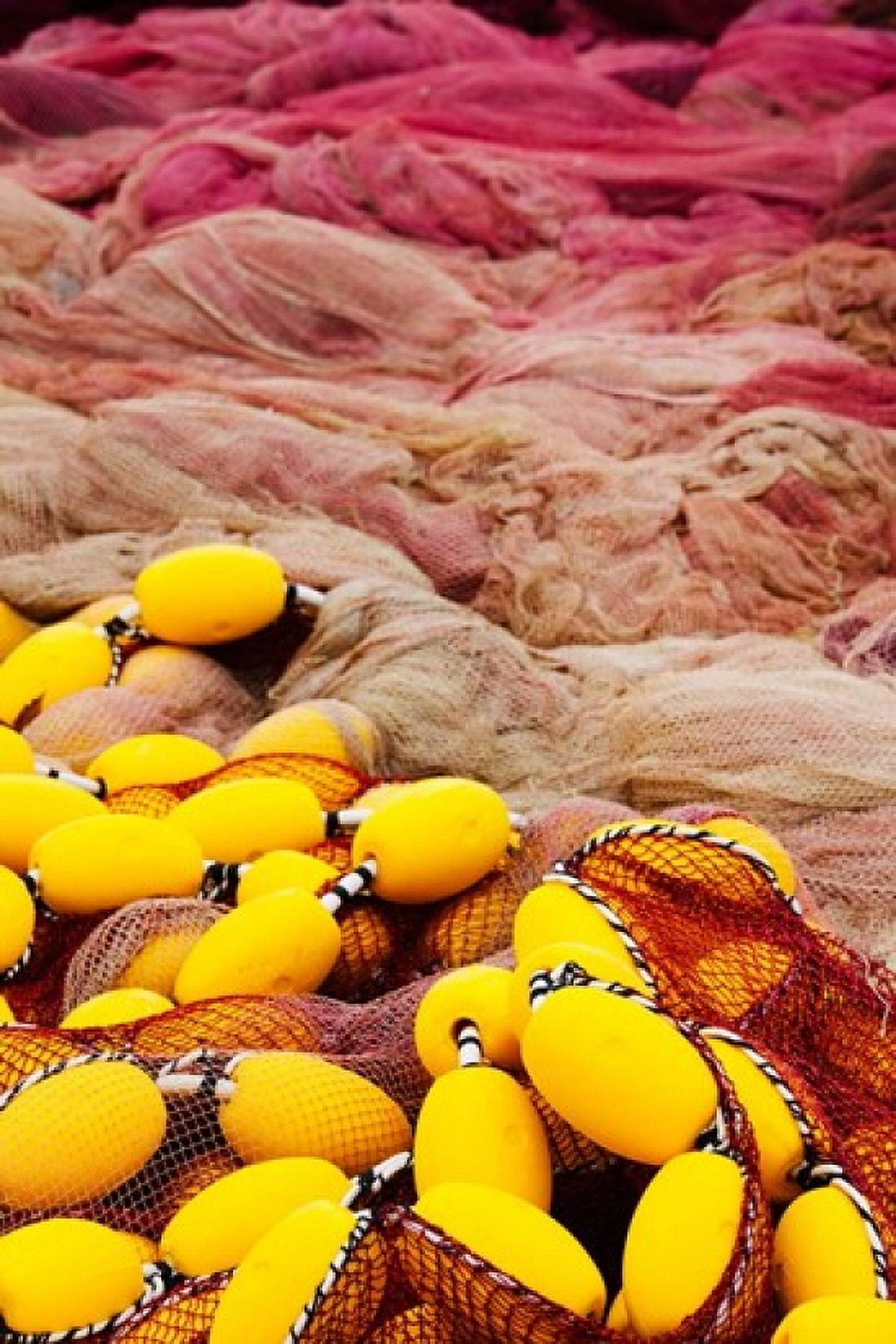 Commercial fishing nets with floats Port-Vendres Vermillion Coast Pyrennes-Orientales Languedoc-Roussillon France Canvas Art - Panoramic Images (24 x 36)