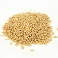 thumbnail image 1 of Commodity Beans Pearl Barley Bean, 25 Pounds, 1 of 1