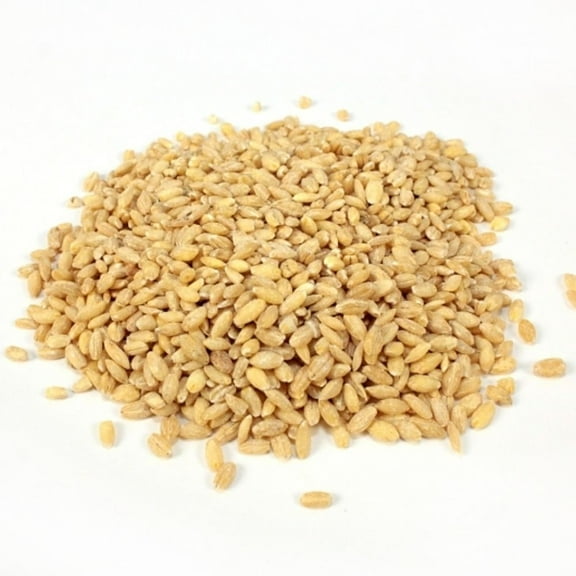 Commodity Beans Pearl Barley Bean, 25 Pounds