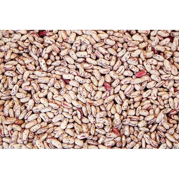 Commodity Beans Triple Clean Pinto Bean, 25 Pound -- 1 each.