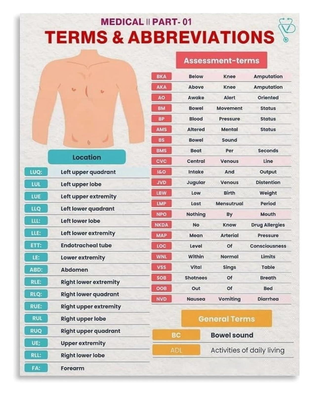 Common Abbreviations Healthcare Terminology Guide Magnet - Walmart.com
