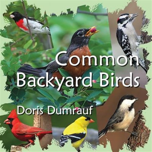 Pre-Owned Common Backyard Birds (Paperback) 099767671X 9780997676716