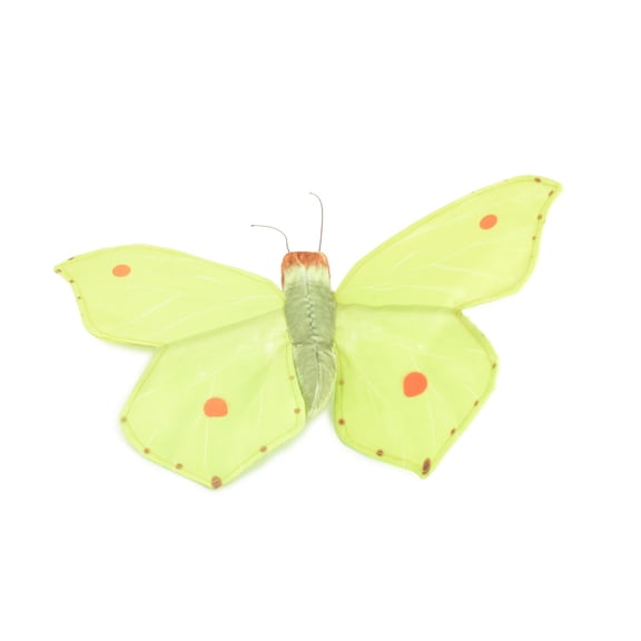 Common Brimstone Butterfly, Finger Puppet, Very Nice Plush, Insect, Realistic, Educational, Toy, Kids, Gift, 15 Inches. WR35 BB317