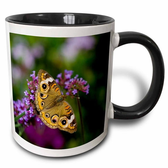 Common Buckeye, Junonia coenia, on Brazilian Verbena, Marion Co. IL 11oz Two-Tone Black Mug mug-209014-4