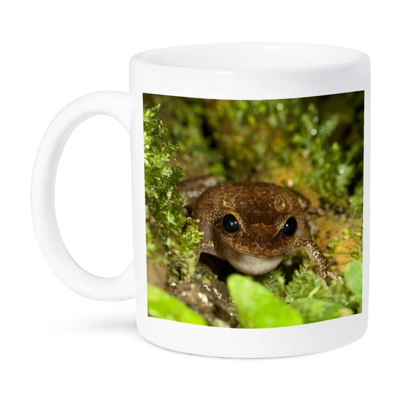 3dRose, Common coqui frog, El Yunque NF, Puerto Rico-CA27 MPR0000 - Maresa Pryor, 15oz Mug