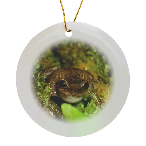 Common Coqui Frog, El Yunque Nf, Puerto Rico-Ca27 Mpr0000 - Maresa Pryor, Circle Porcelain Ornament