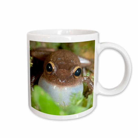 3drose, Common Coqui Frog, El Yunque Nf, Puerto Rico-ca27 Mpr0001 - Maresa Pryor, 15oz Mug