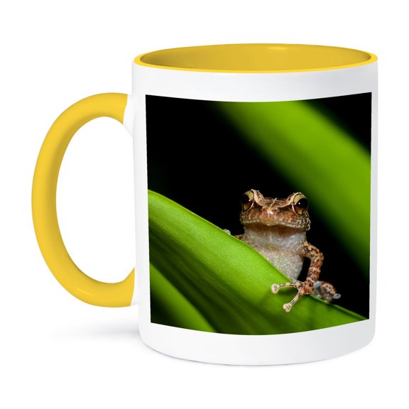 3dRose, Common coqui on bromeliad leaf, El Verde, El Yunque NF, Puerto Rico, 15oz Two-Tone Yellow Mug