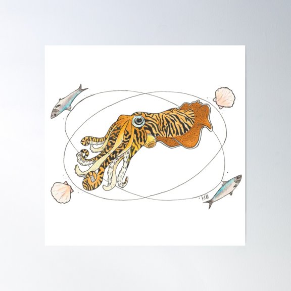 Common Cuttlefish (Sepia Officinalis) Poster Wall Art, Modern Wall Decor For Living Room Bedroom, 30x30 UNFRAMED