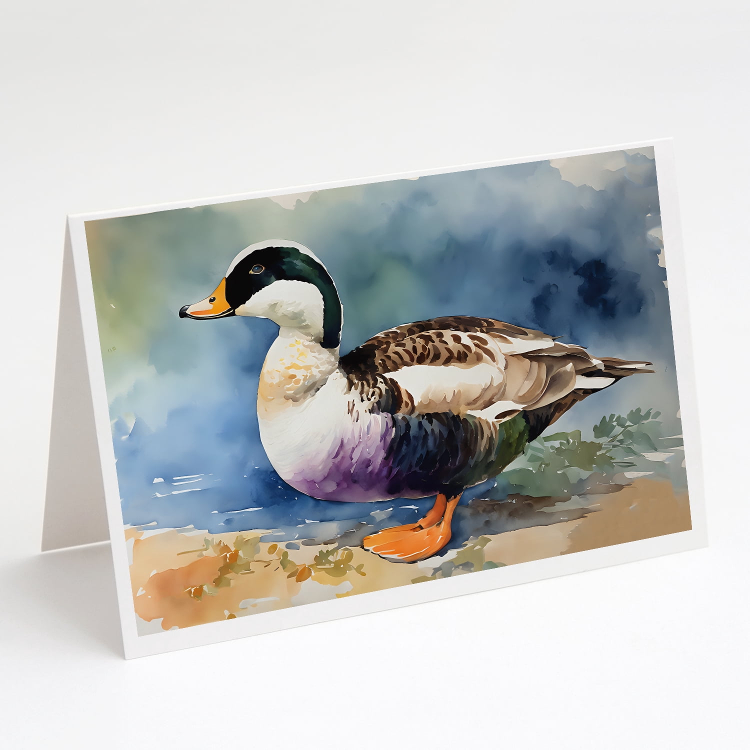 Common Eider Duck Greeting Cards Pack of 8 7 in x 5 in