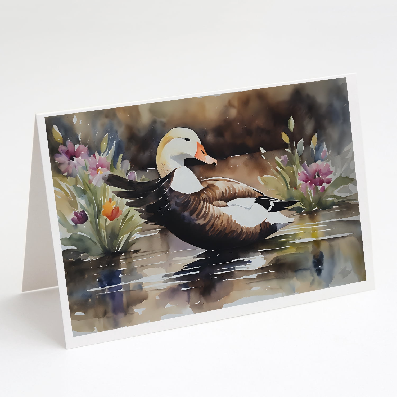 Common Eider Duck Greeting Cards Pack of 8 7 in x 5 in