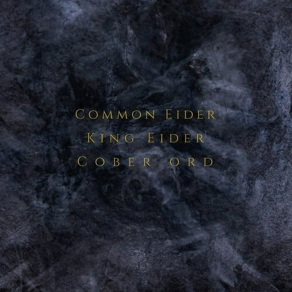 Common Eider / King Eider / Cober Ord - Palimpseste - Electronica - CD