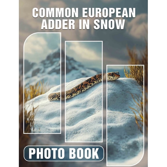 Common European Adder In Snow Photo Book: 40 Stunning Images Capturing The Beauty Of Europe's Iconic Snake In Winter Set, (Paperback)