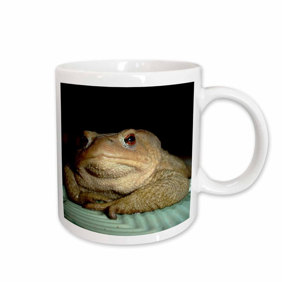 3drose, Common European Toad Bufo Bufo Photographed on Pool Edge, 11oz Mug