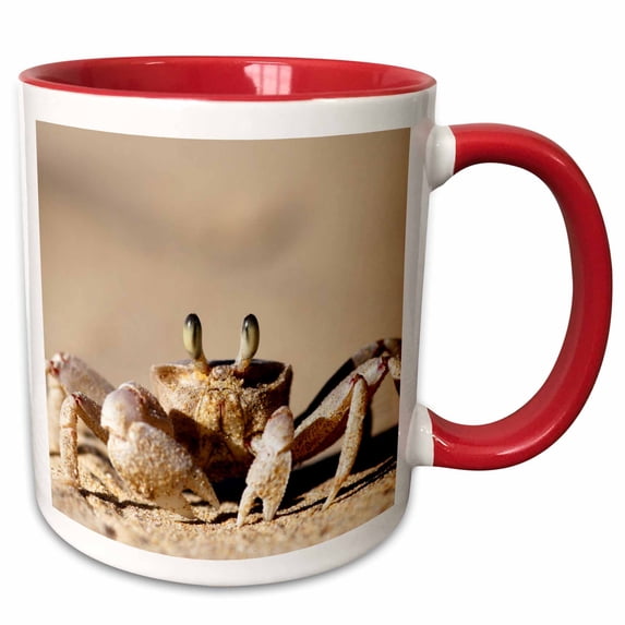 Common Ghost Crab, Haga-Haga, Wild Coast, Eastern Cape, South Africa. 11oz Two-Tone Red Mug mug-208078-5