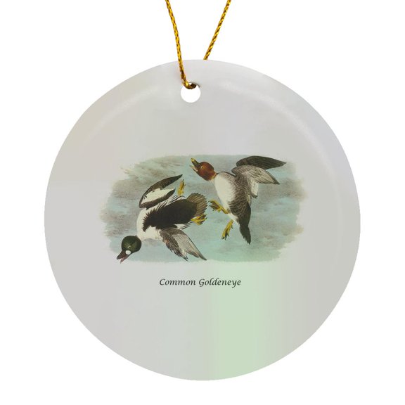 3drose, Common Goldeneye by John James Audubon, Circle Porcelain Ornament