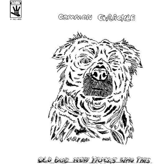 Common Grackle - Old Dog New Tricks Who This - Music & Performance - Vinyl