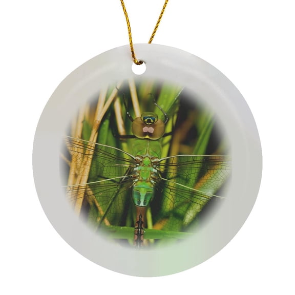 3drose, Common Green Darner, Anax Junius, Dragonfly Female Marion Co. Il, Circle Porcelain Ornament