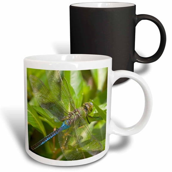 3drose, Common Green Darner on Water Primrose in Wetland Effingham Co. Il, 11oz Magic Transforming Mug