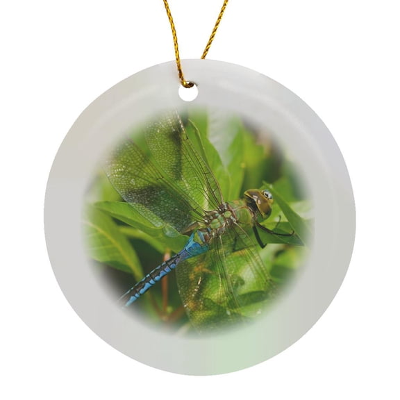 3drose, Common Green Darner on Water Primrose in Wetland Effingham Co. Il, Circle Porcelain Ornament