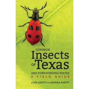 Common Insects of Texas and Surrounding States: A Field Guide, (Paperback)