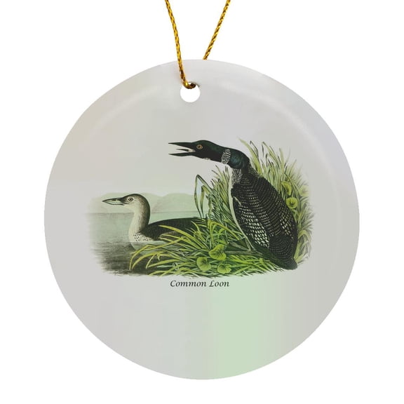 3drose, Common Loon by John James Audubon, Circle Porcelain Ornament