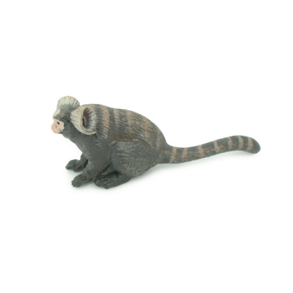 Common Marmoset, White-Tufted Marmoset, Hand Painted, Educational, Rubber Primate, Realistic Figure, Lifelike, Gift, 2" SF64 B16