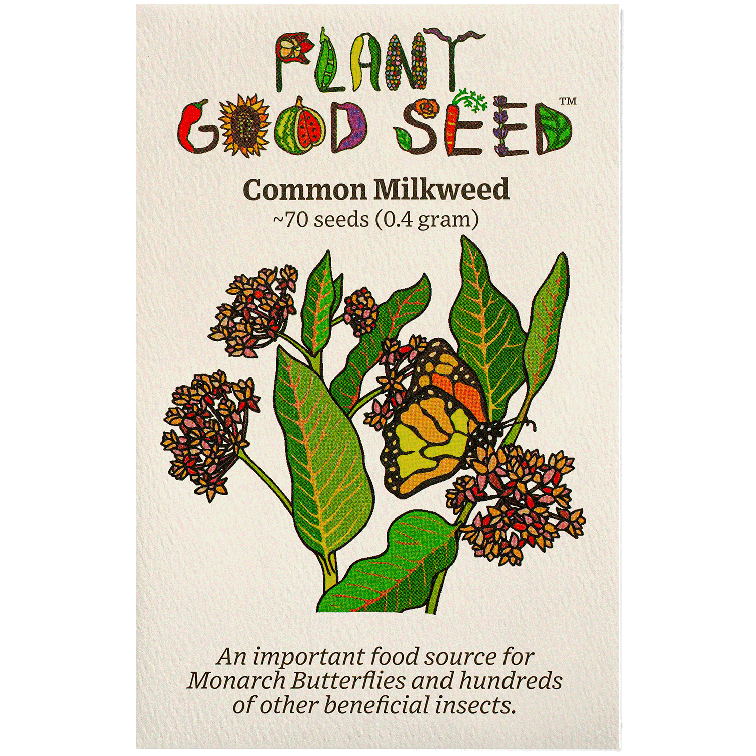 Organic Common Milkweed Seeds for Monarch Butterflies