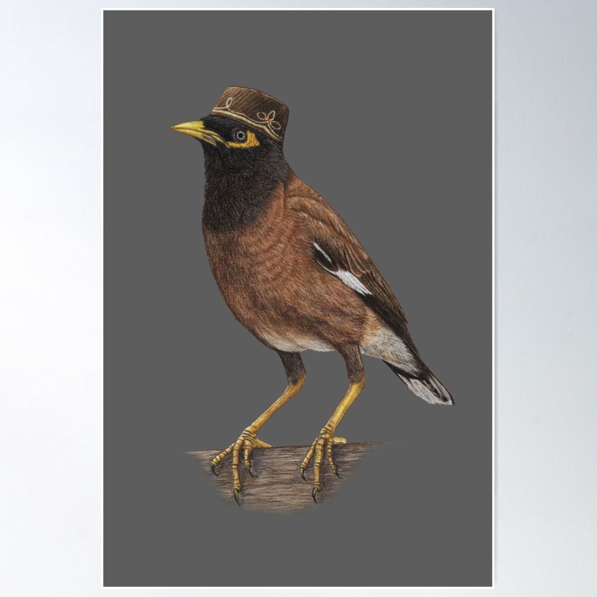 Myna Poster Common Myna Poster Wall Art, Modern Wall Decor For Living Room Bedroom ...